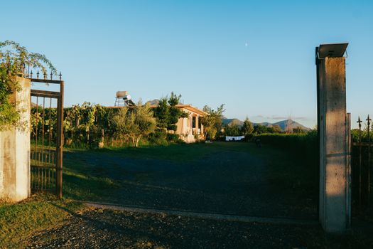 Explore the serene beauty of an Albanian village with lush greenery and golden hour lighting.