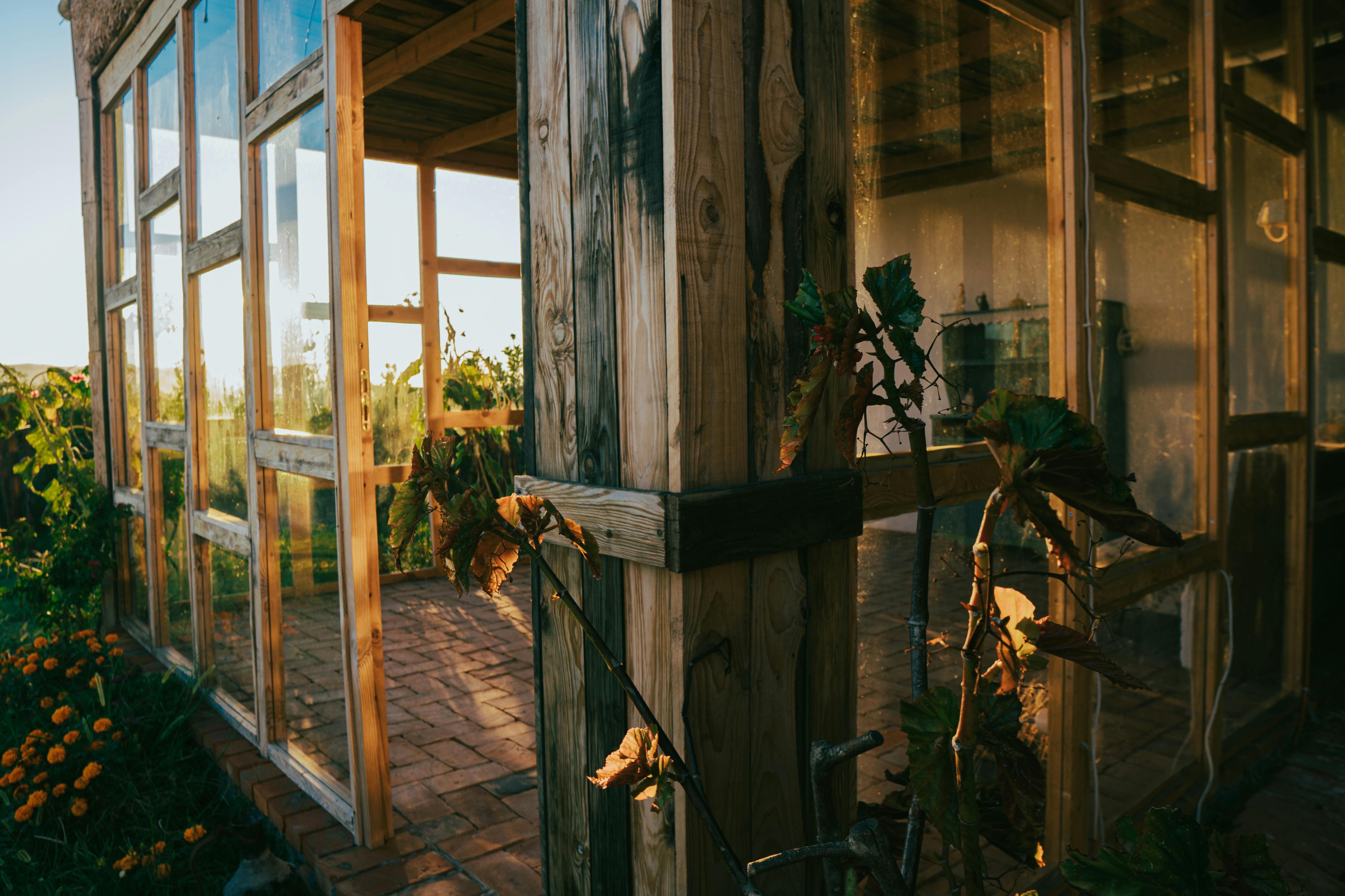 Sustainable Cryptocurrency Solutions: Promoting Eco-Friendly Digital Finance