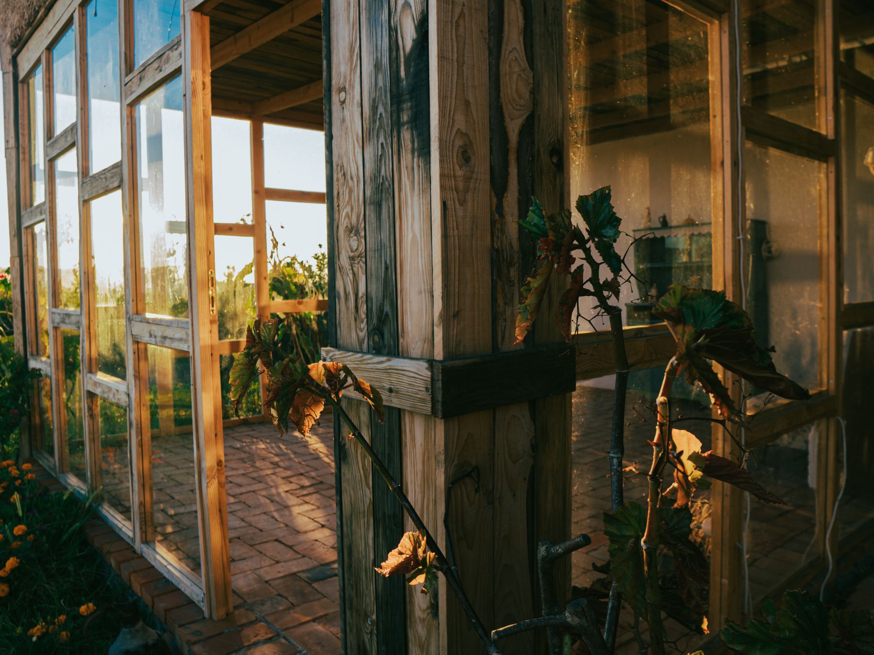 Fence and Decking Painting in Elmstead — dust sheets down and the room fully protected