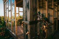 Rustic Greenhouse at Golden Hour in Albania