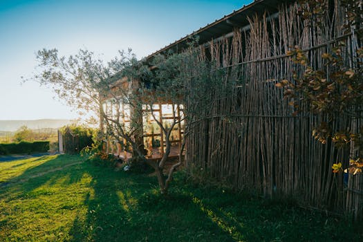 A serene rural scene in Fishtë, Albania, capturing a bamboo house during golden hour.