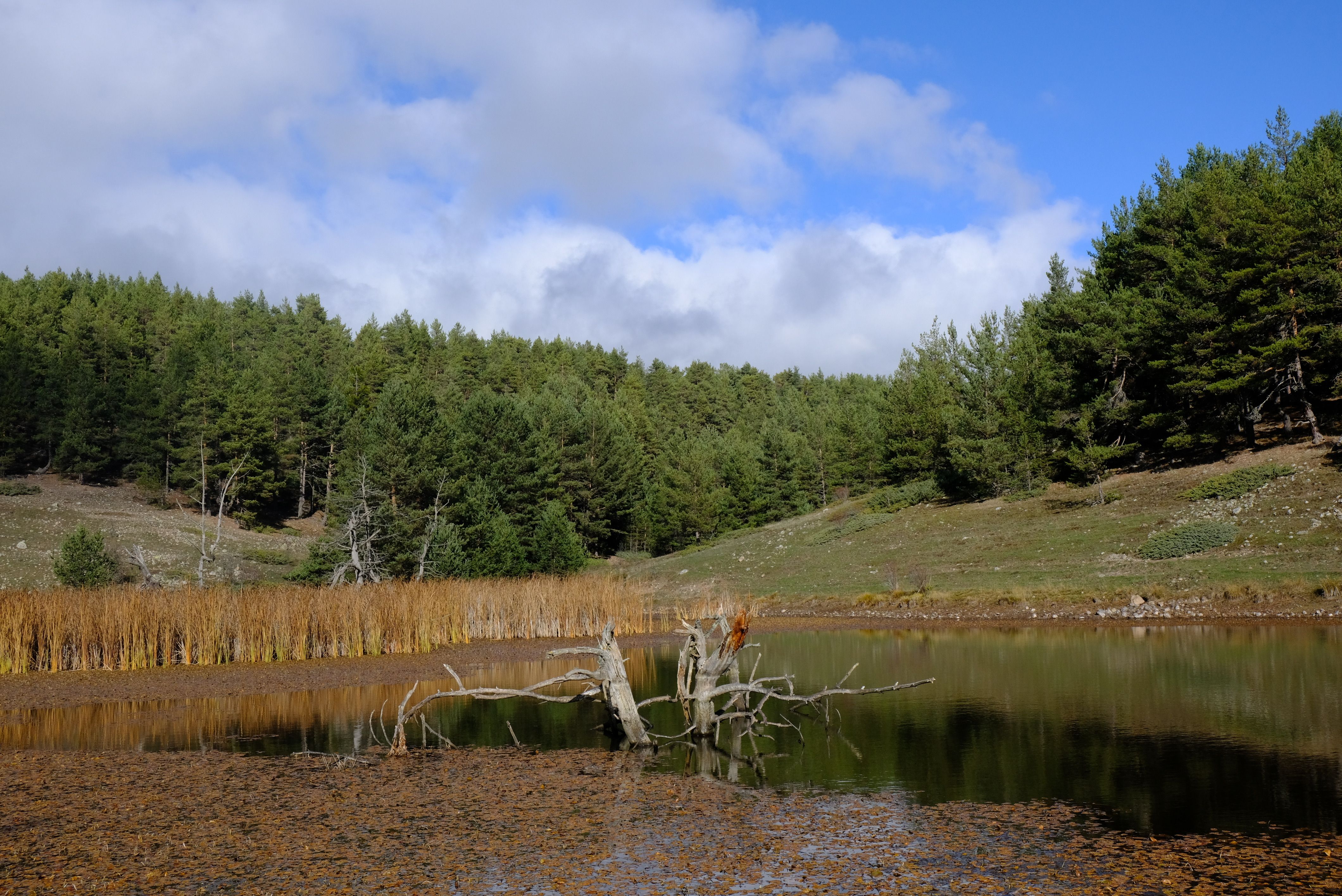 Aiguabarreig Cinca-Segre Nature Reserve