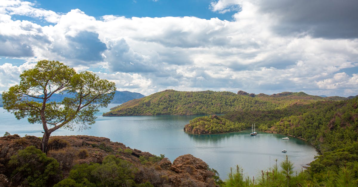 帕拉烏爾能否突破政治僵局,擺脫過去束縛?