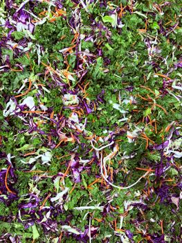 A vibrant mix of chopped kale, cabbage, and carrots for a healthy meal.
