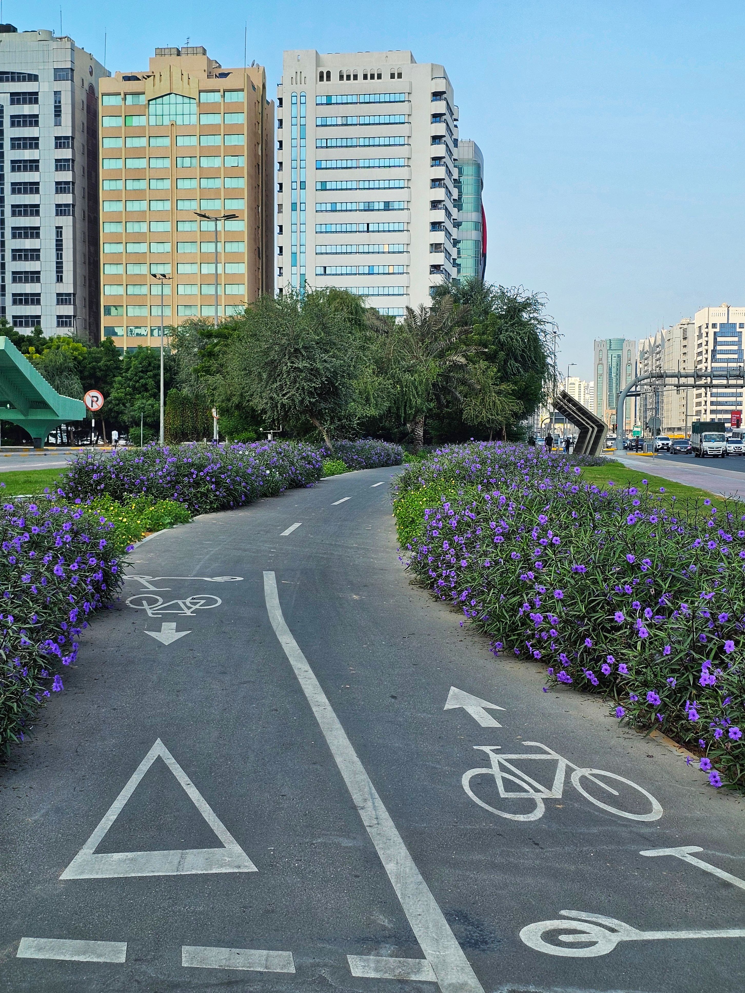 Urban Cycle Path in Modern Cityscape · Free Stock Photo