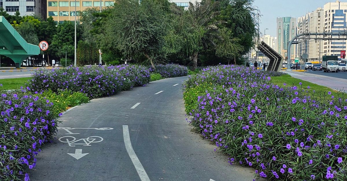 Urban Path Urban Cycle Path in Modern Cityscape · Free Stock Photo