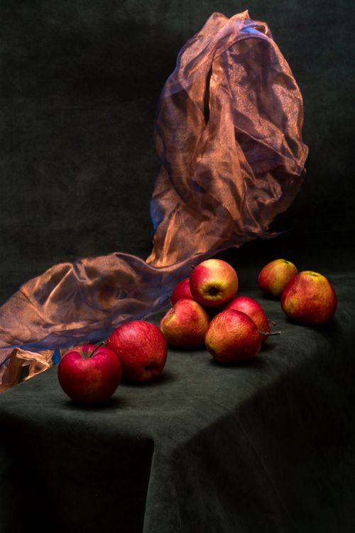 Free Artistic still life featuring red apples and flowing fabric on a dark background. Stock Photo