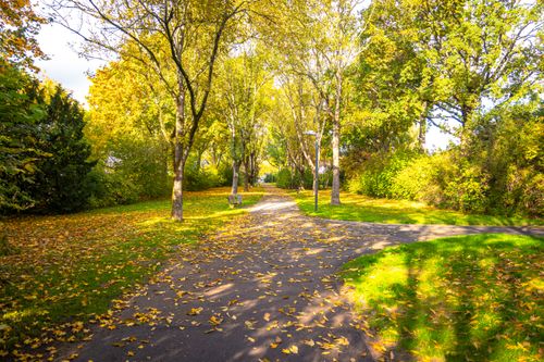 Free Scenic autumn pathway in Lower Saxony, Germany, surrounded by vibrant fall foliage. Stock Photo