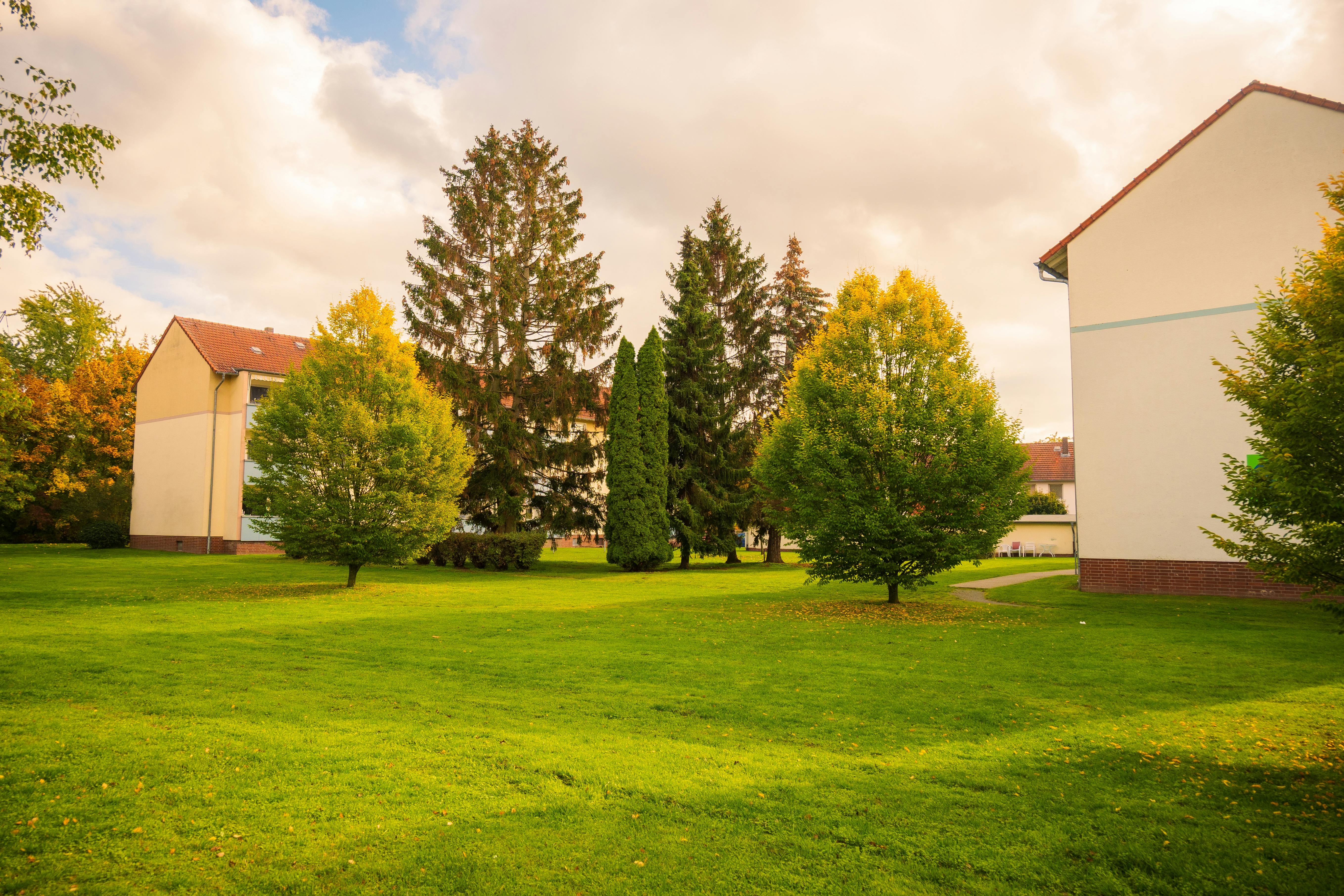 Free stock photo of 4k photo, autumn, autumn adventure