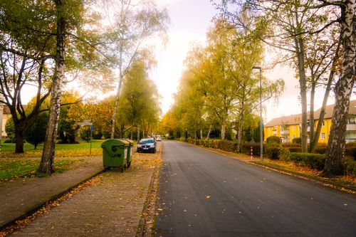 Free A peaceful autumn street in Lower Saxony, Germany, lined with trees and colorful foliage. Stock Photo