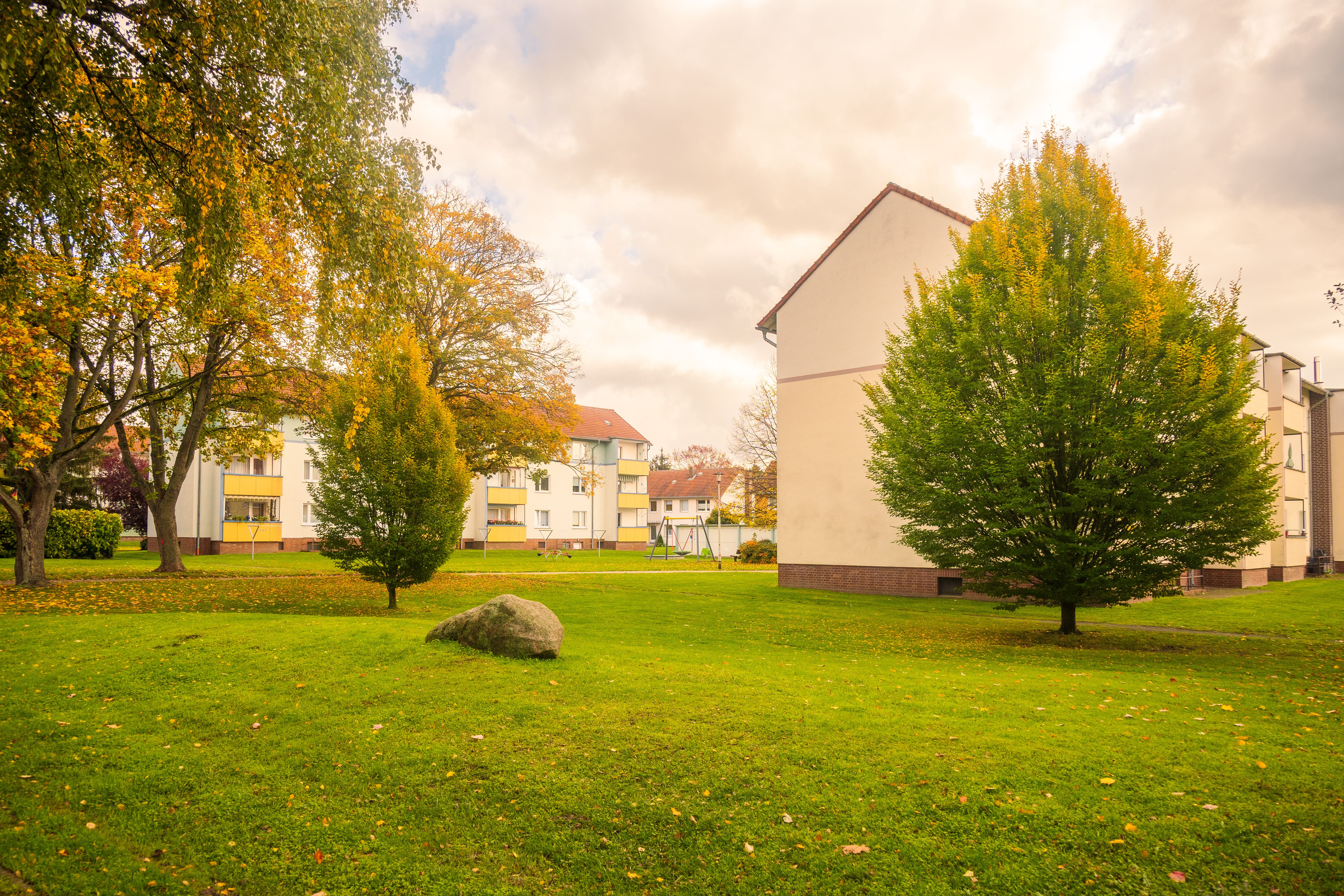 Verlegung von Rollrasen für dichte Grünflächen