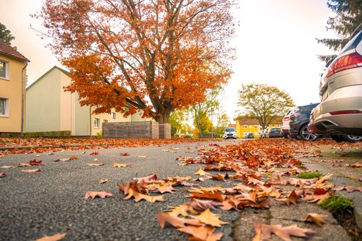 Vibrant autumn scene with fallen leaves on a residential street in Lower Saxony.
