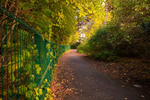 Free Explore a tranquil autumn pathway surrounded by vibrant foliage in Germany. Stock Photo