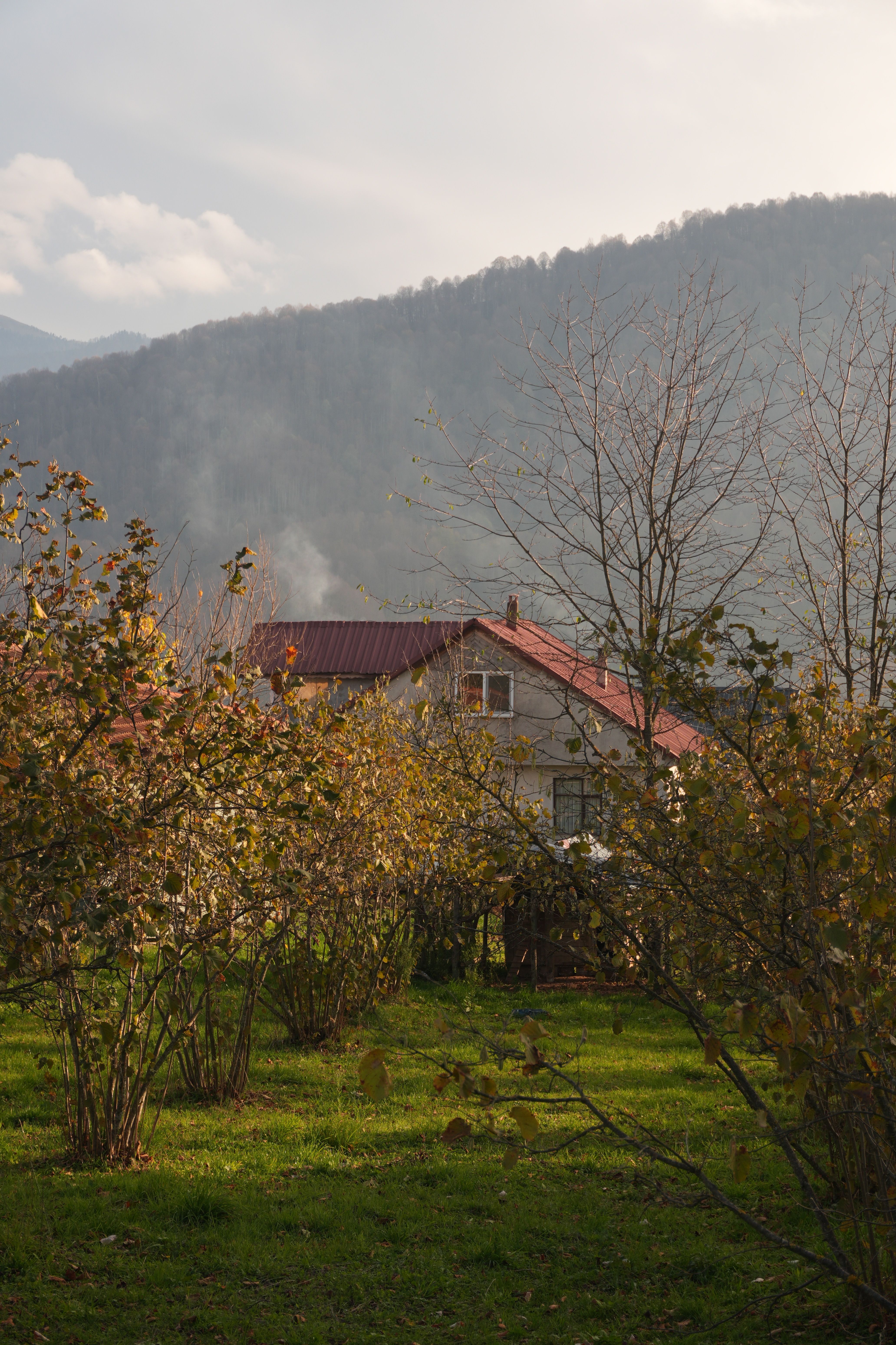Charming Village House in Autumn Landscape · Free Stock Photo