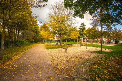 Free A serene autumn park in Lower Saxony, Germany with golden leaves scattered on the ground. Stock Photo