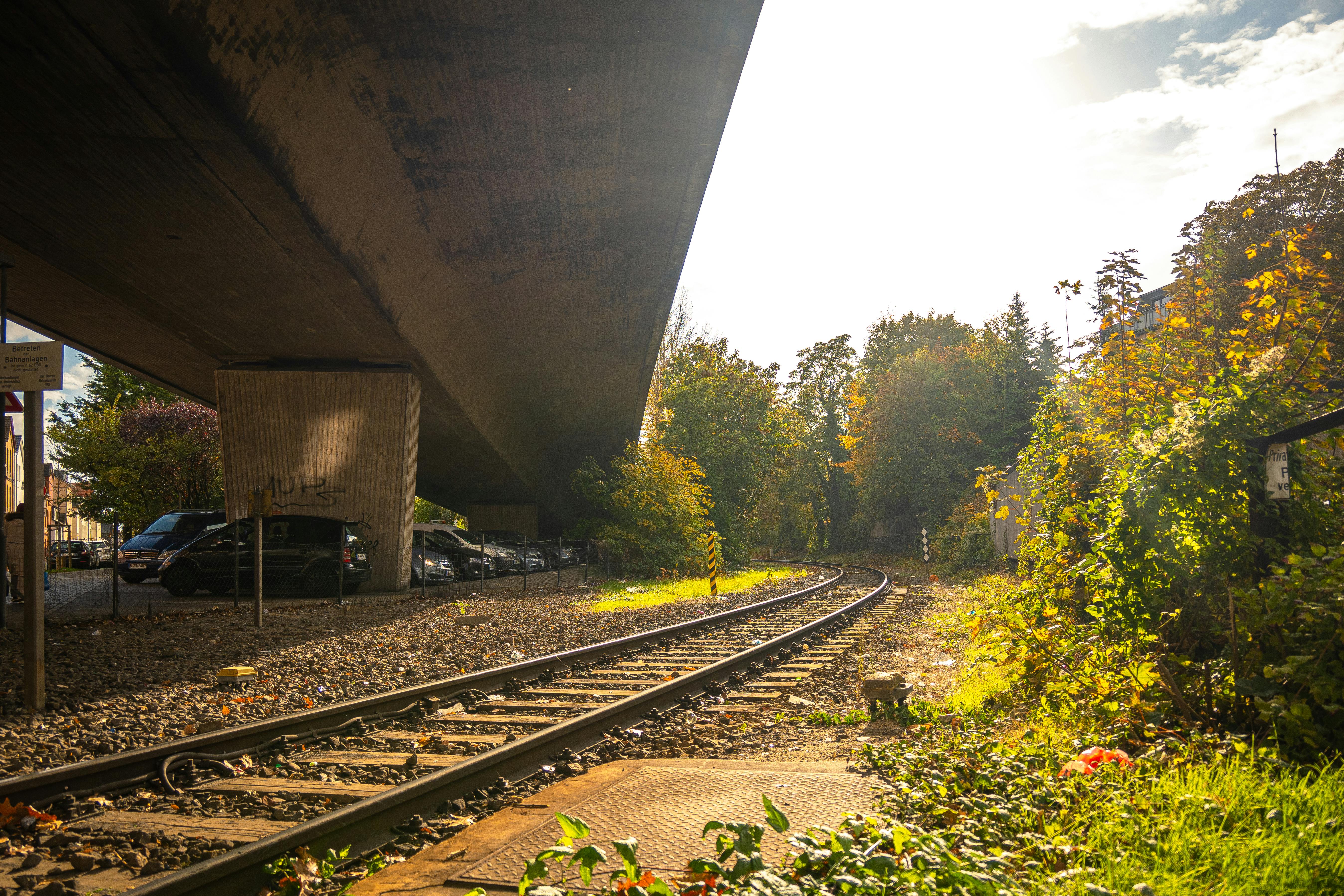 中壢172A公車試辦啟動 串聯大學與高鐵生活圈便利出行