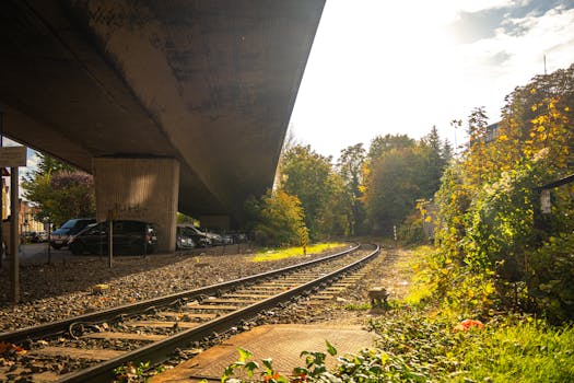 Free stock photo of 4k photo, autumn, autumn adventure