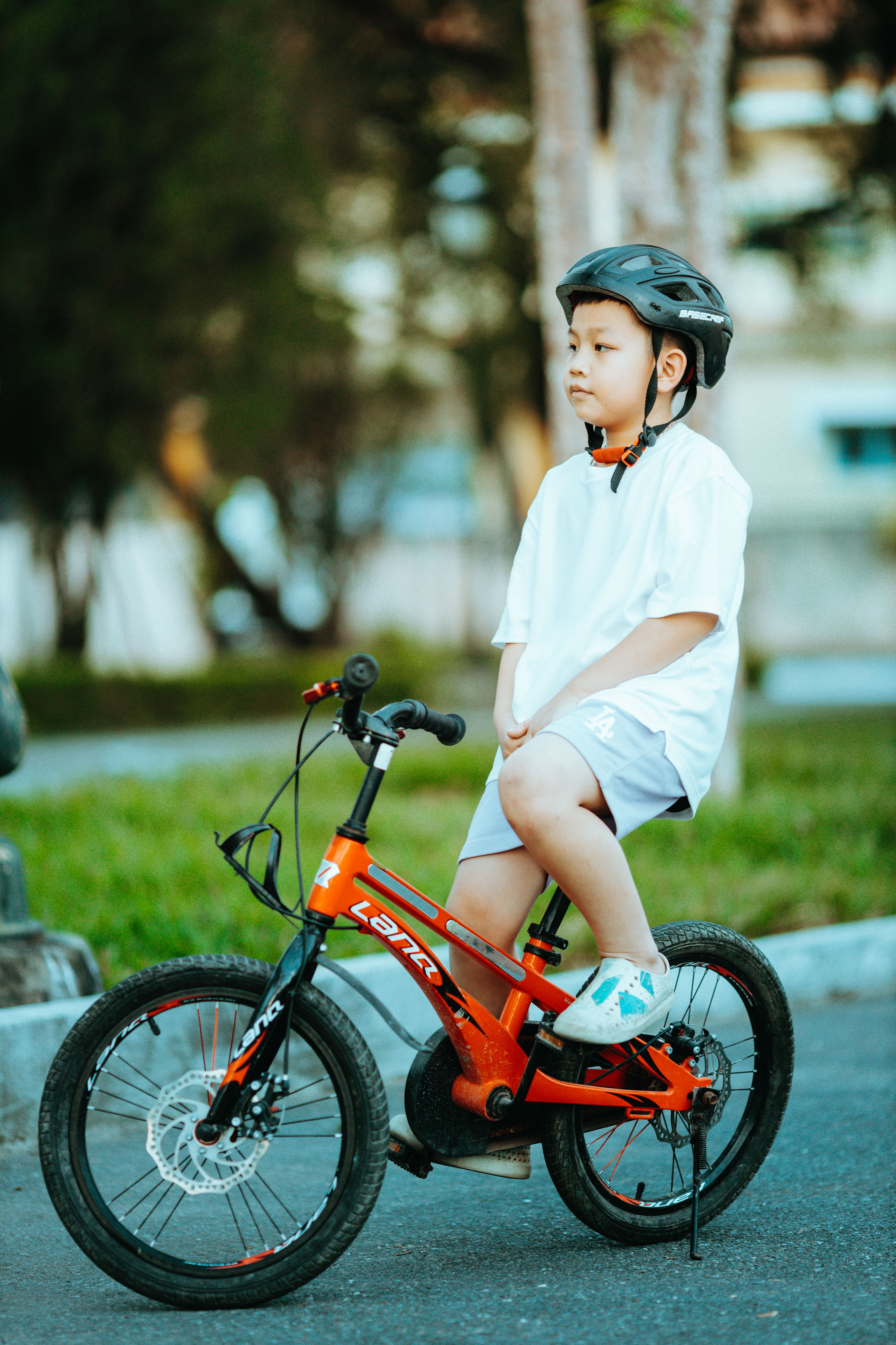 Reel Bike Photos, Download The BEST Free Reel Bike Stock Photos & HD Images