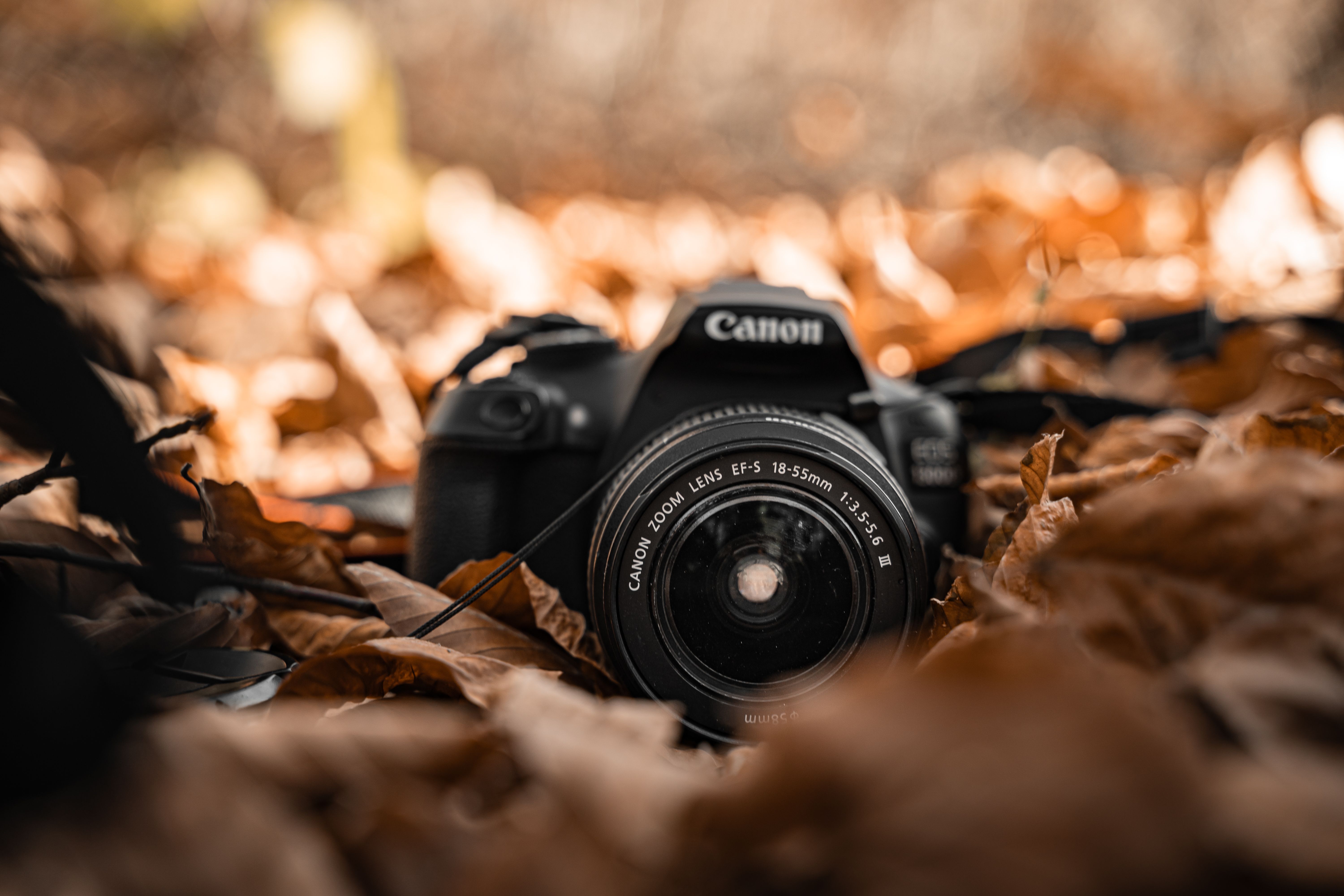 Seasonal Promo Thumbnails Using Brand Kit