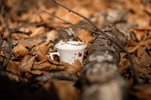 A delicate floral teacup rests among fallen autumn leaves in a tranquil forest setting.