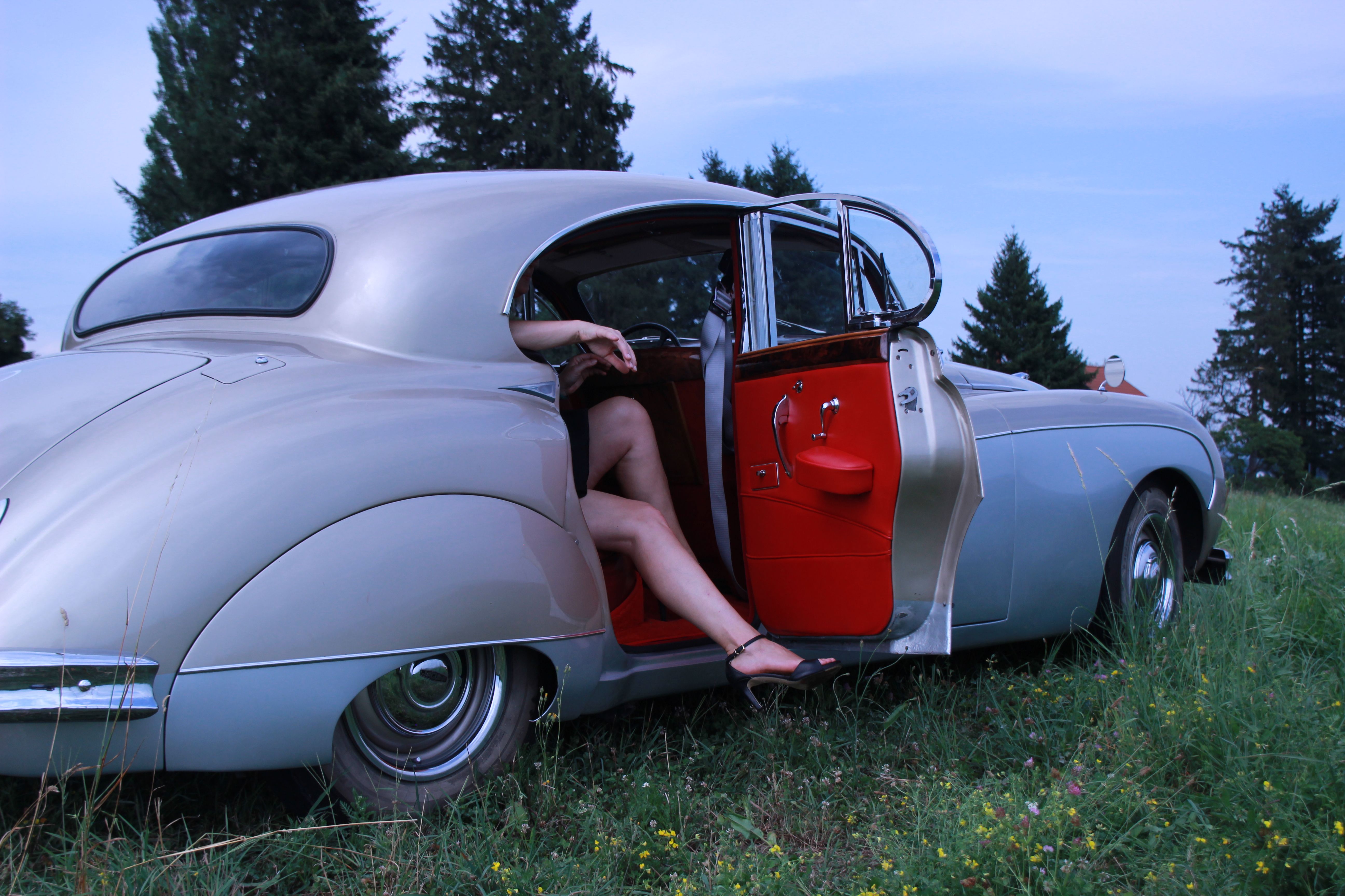 Classic car with open door in a grassy field · Free Stock Photo