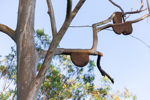 Photo by rajan vijayakumar