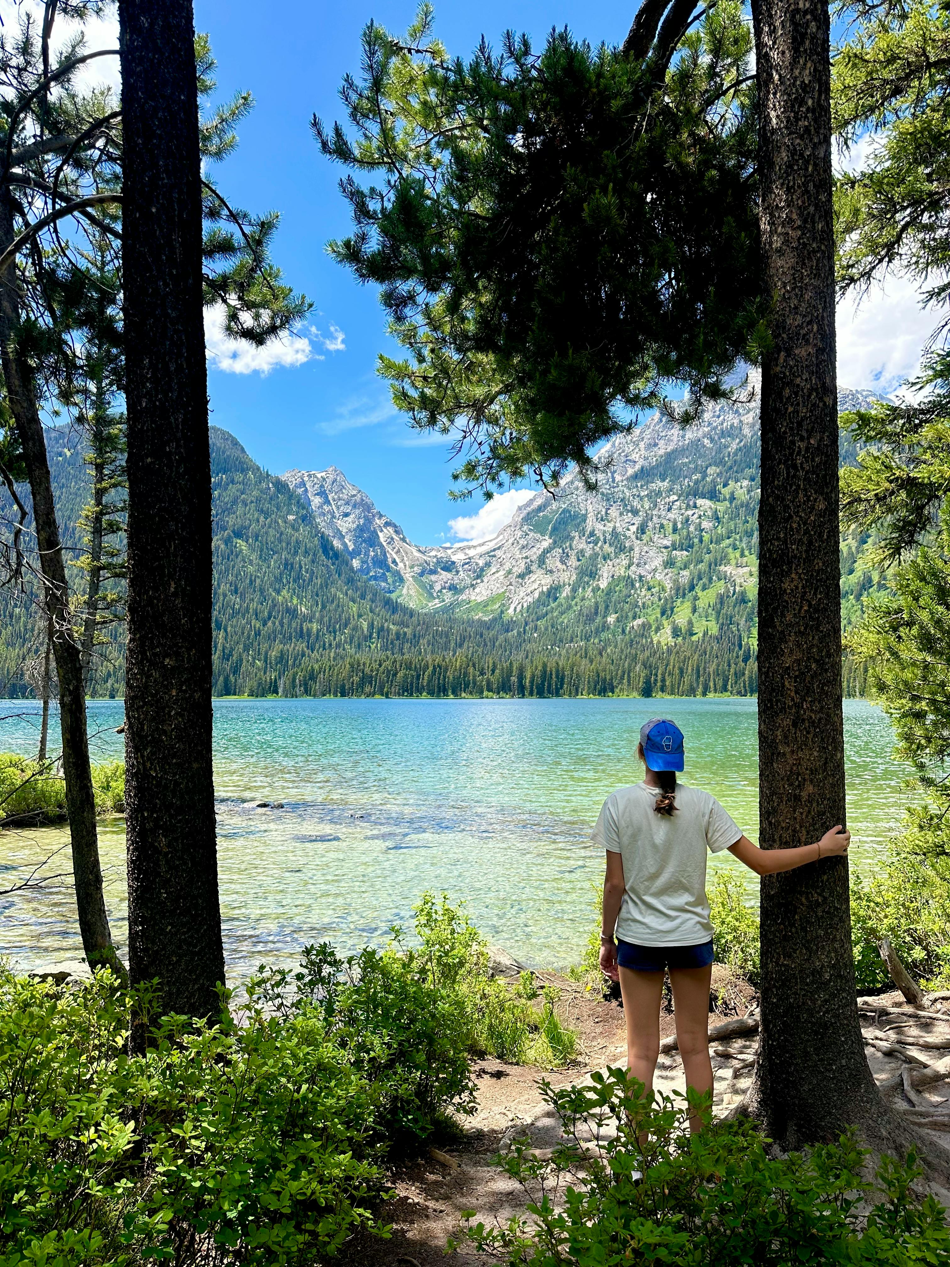 A woman standing among trees enjoys the breathtaking view of Jenny Lake and mountains on a sunny day.
