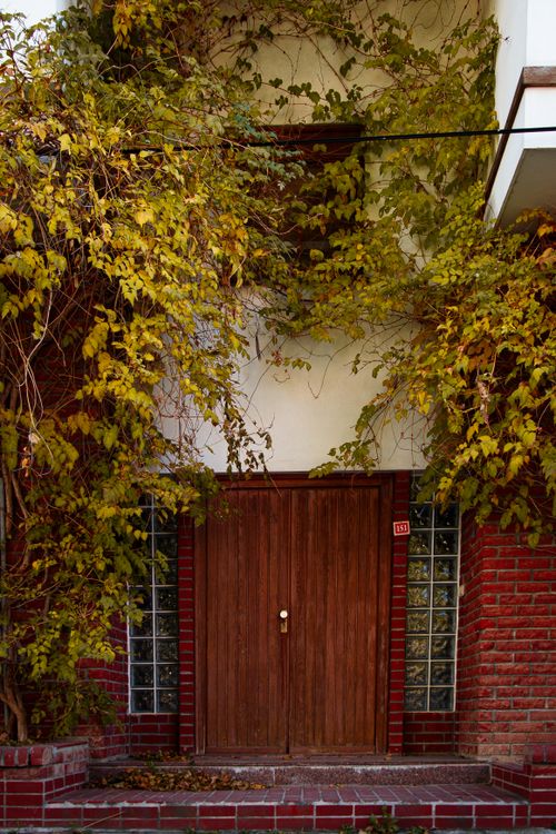 Free Rustic wooden door surrounded by vibrant autumn ivy on a brick facade, adding warmth and character. Stock Photo