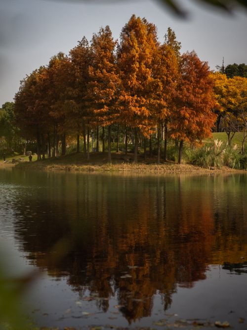 Free Peaceful autumn scene with trees reflecting in a calm lake. Stock Photo