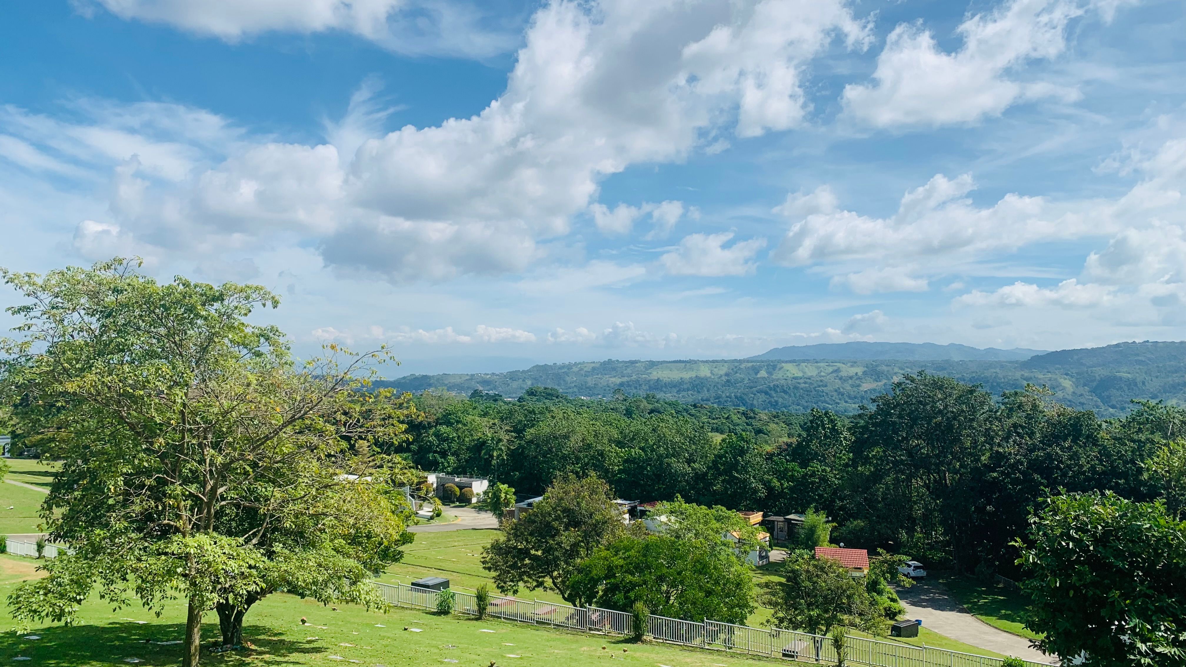 Scenic Countryside View with Lush Greenery · Free Stock Photo