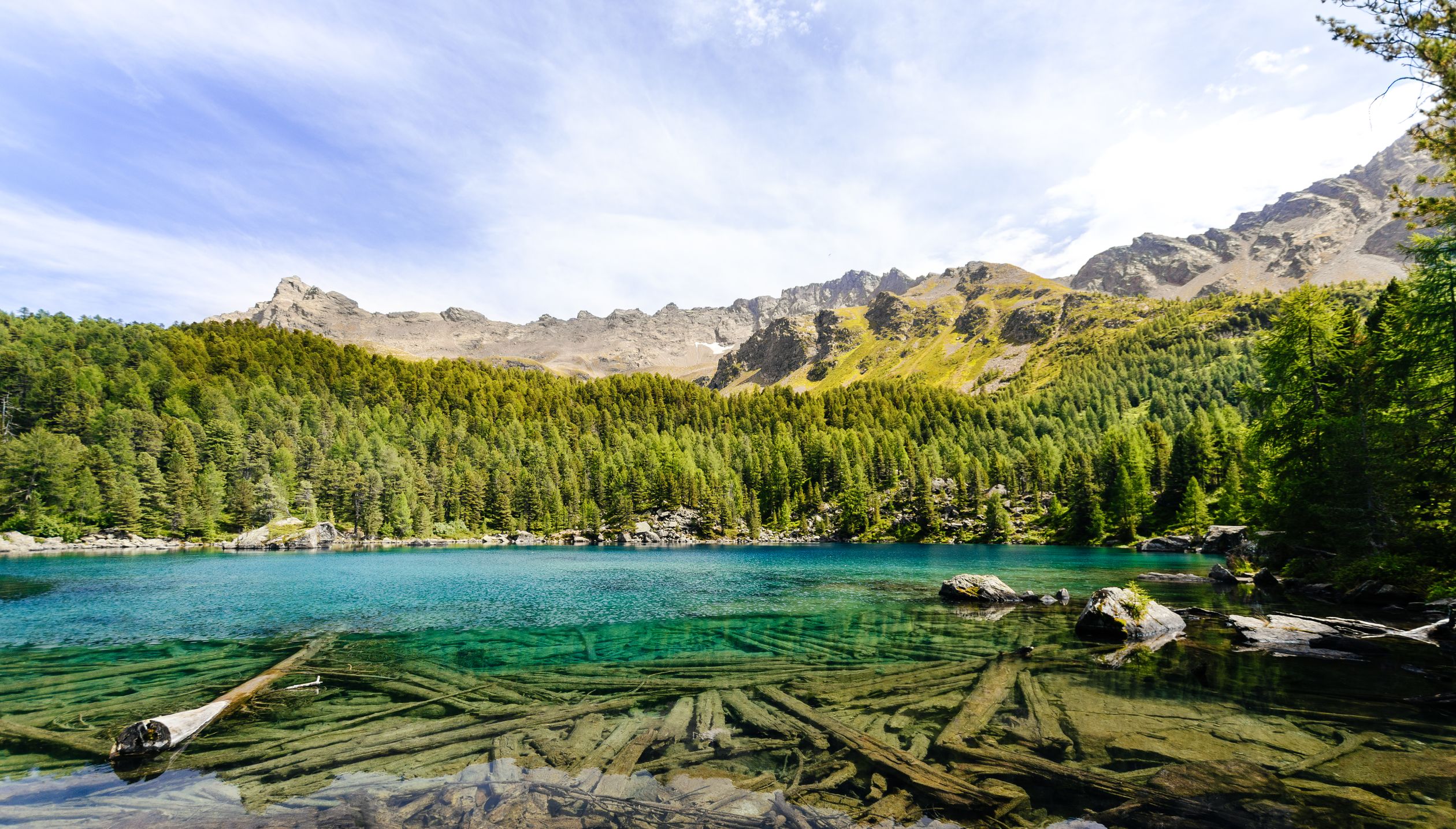 Scenic Mountain Lake with Clear Water and Forest · Free Stock Photo