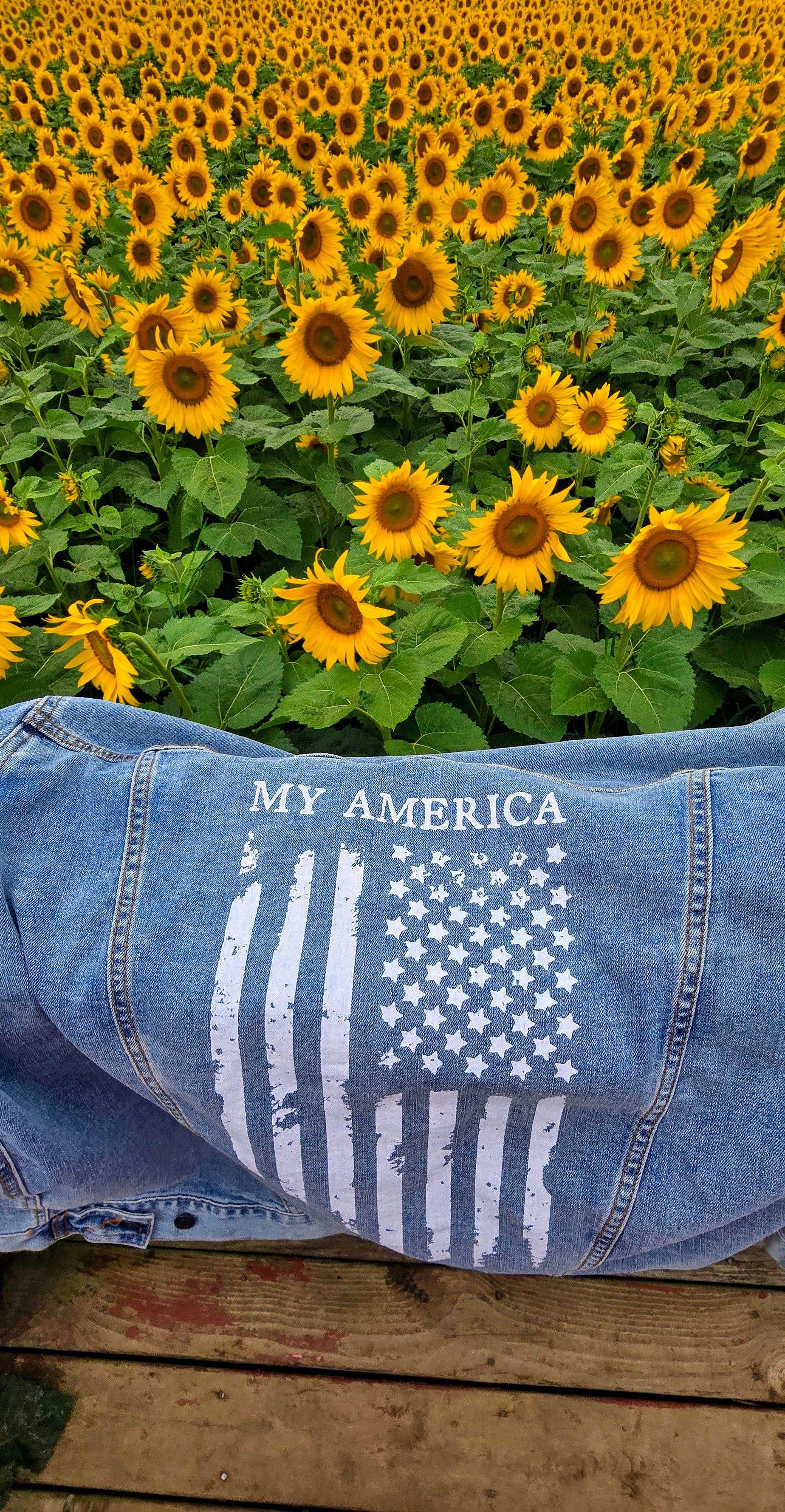 Patriotic Denim Jacket in Sunflower Field · Free Stock Photo
