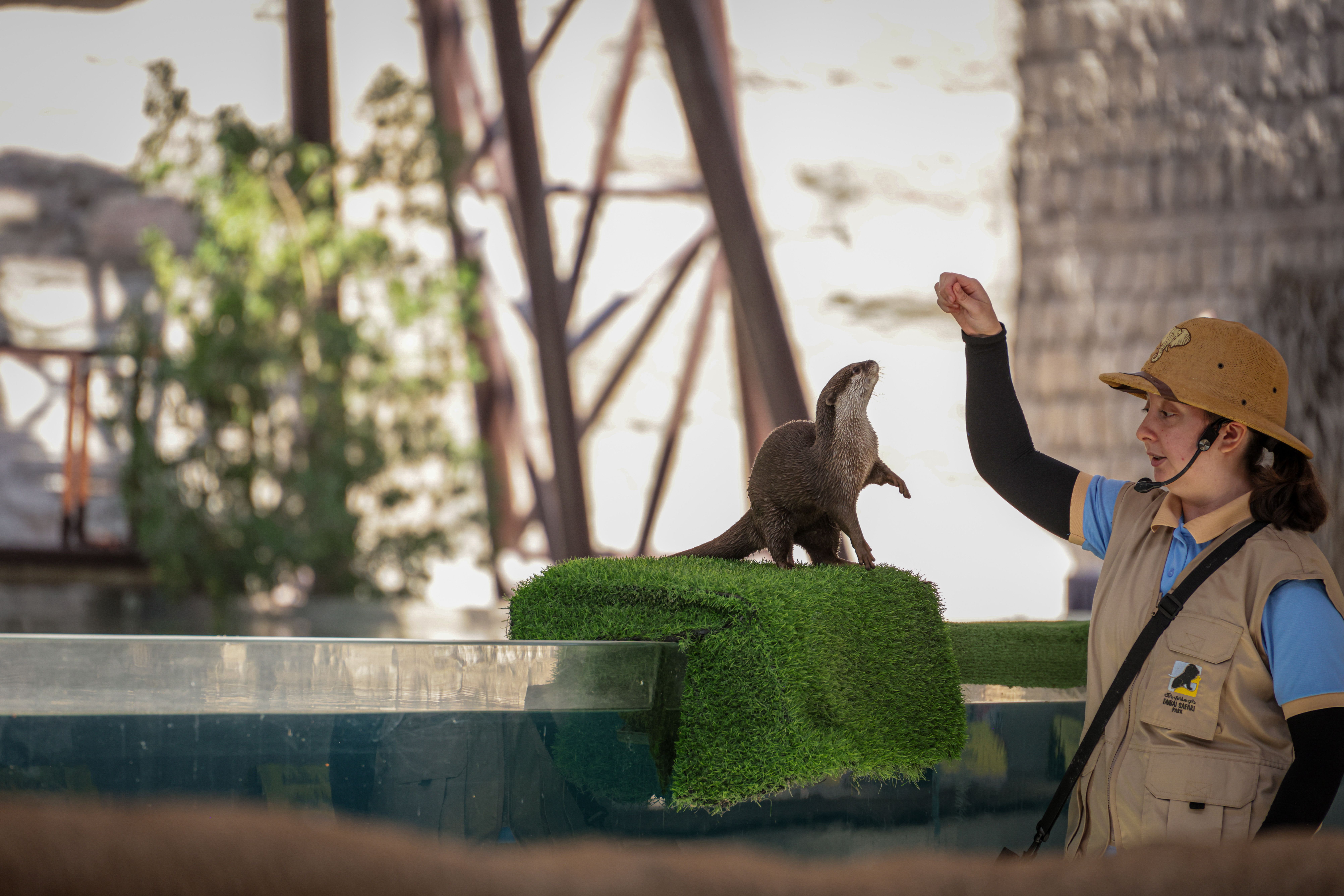Animal Trainer Interacting with Otter at Zoo · Free Stock Photo