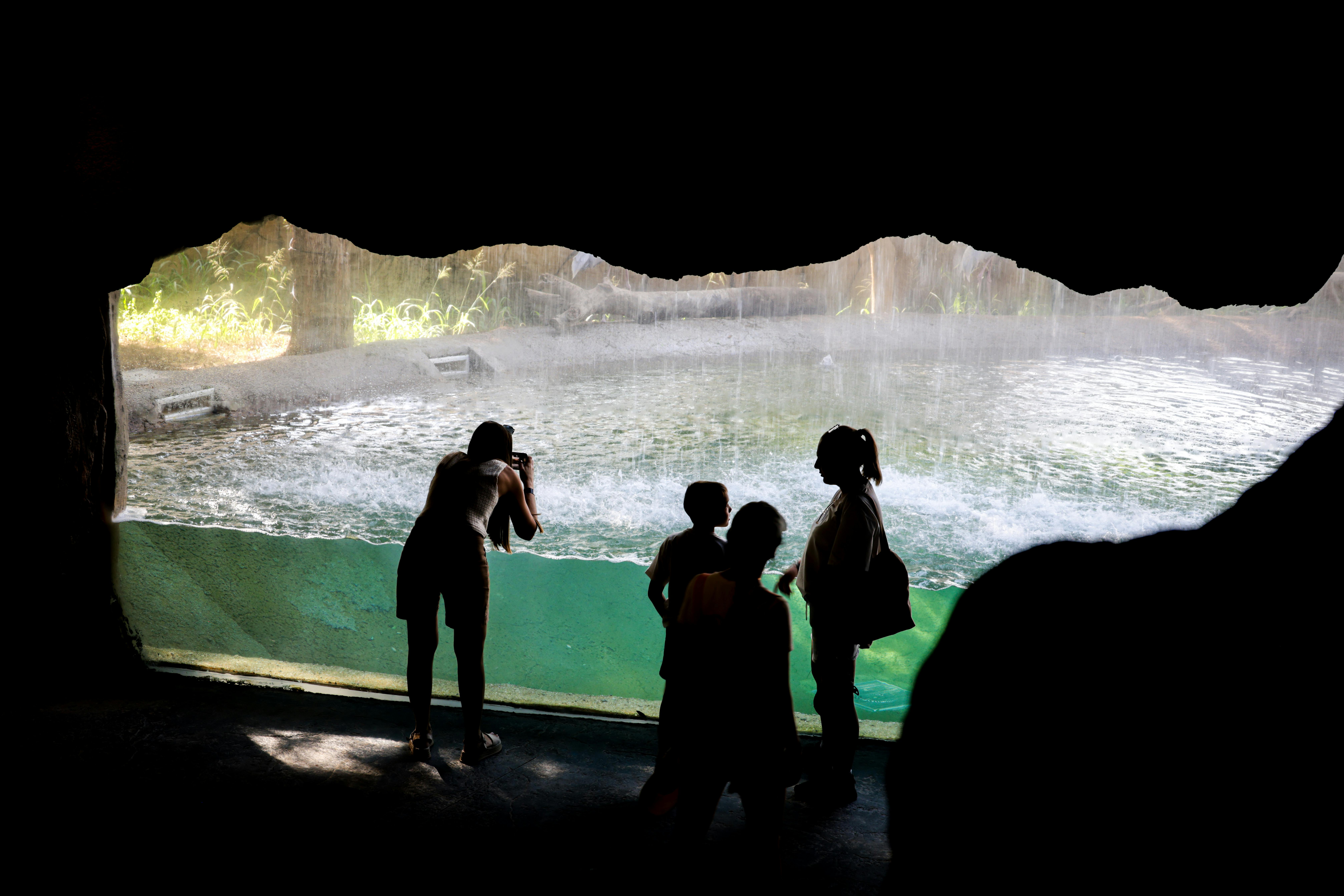 Free stock photo of animals, conservation, people