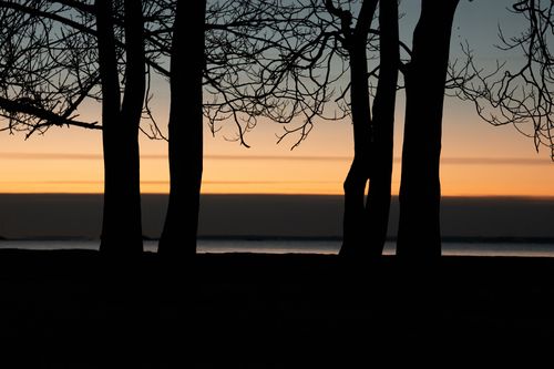 Free Silhouette of trees against a vibrant twilight sky at Cove Island Park, Stamford, CT. Stock Photo