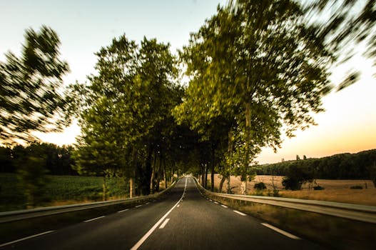 Experience the thrill of movement on a picturesque tree-lined road captured during sunset.