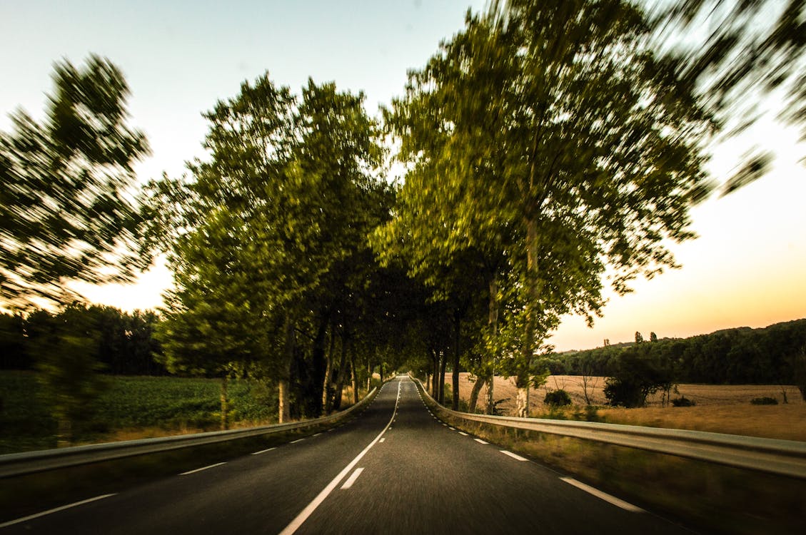Free Selective Focus Photography of Road and Trees Stock Photo