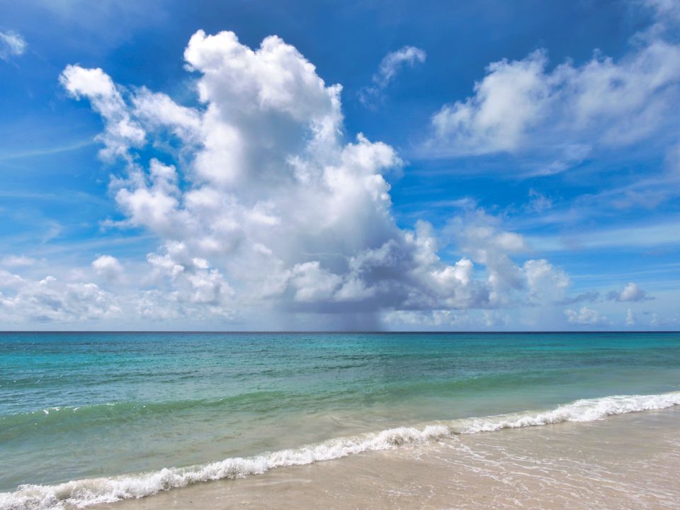 auf Barbados
