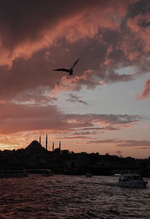 Free A stunning sunset view featuring Istanbul's silhouette and a soaring seagull over the water. Stock Photo