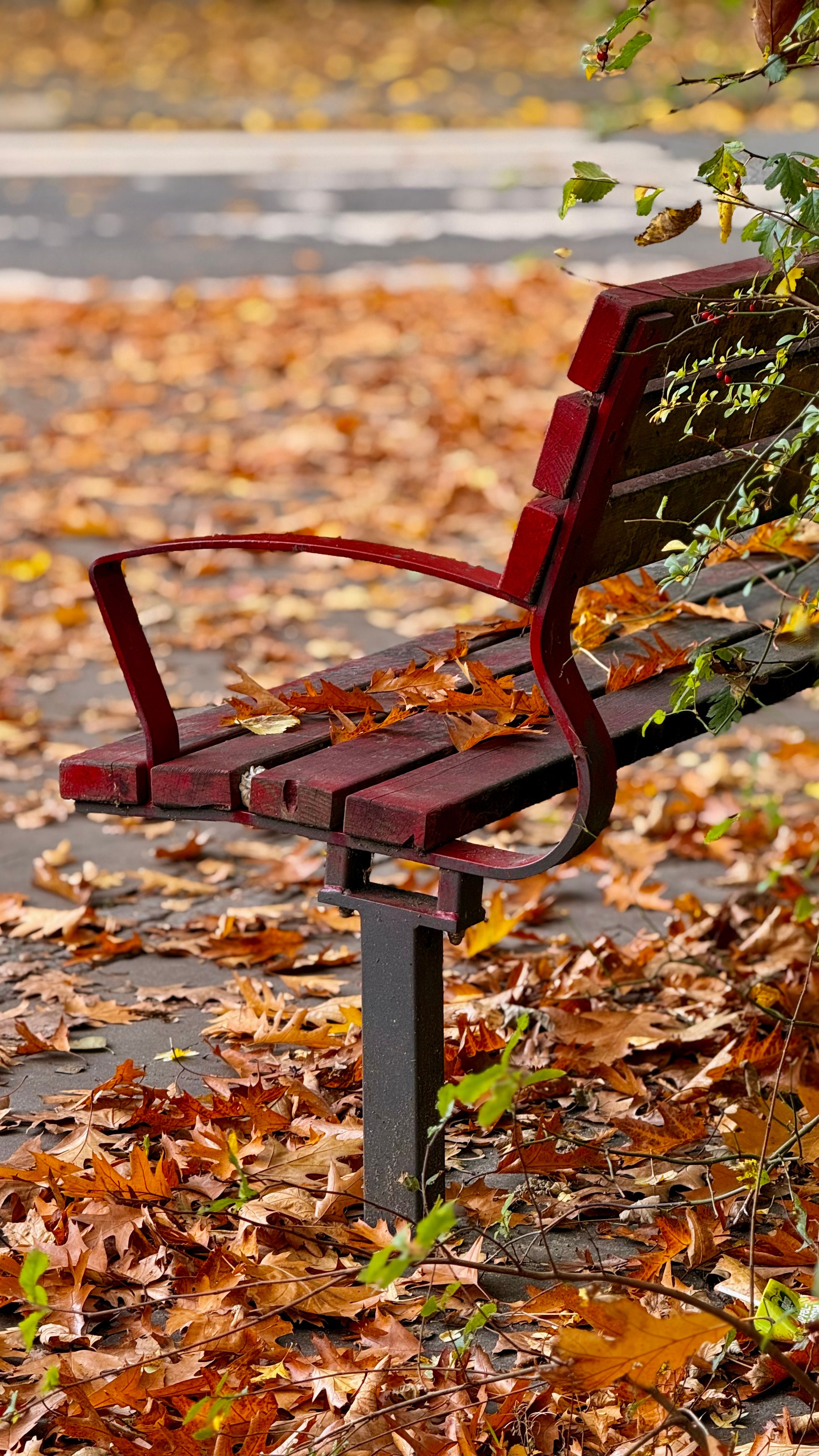 Red Park Bench in Autumn Leaves · Free Stock Photo