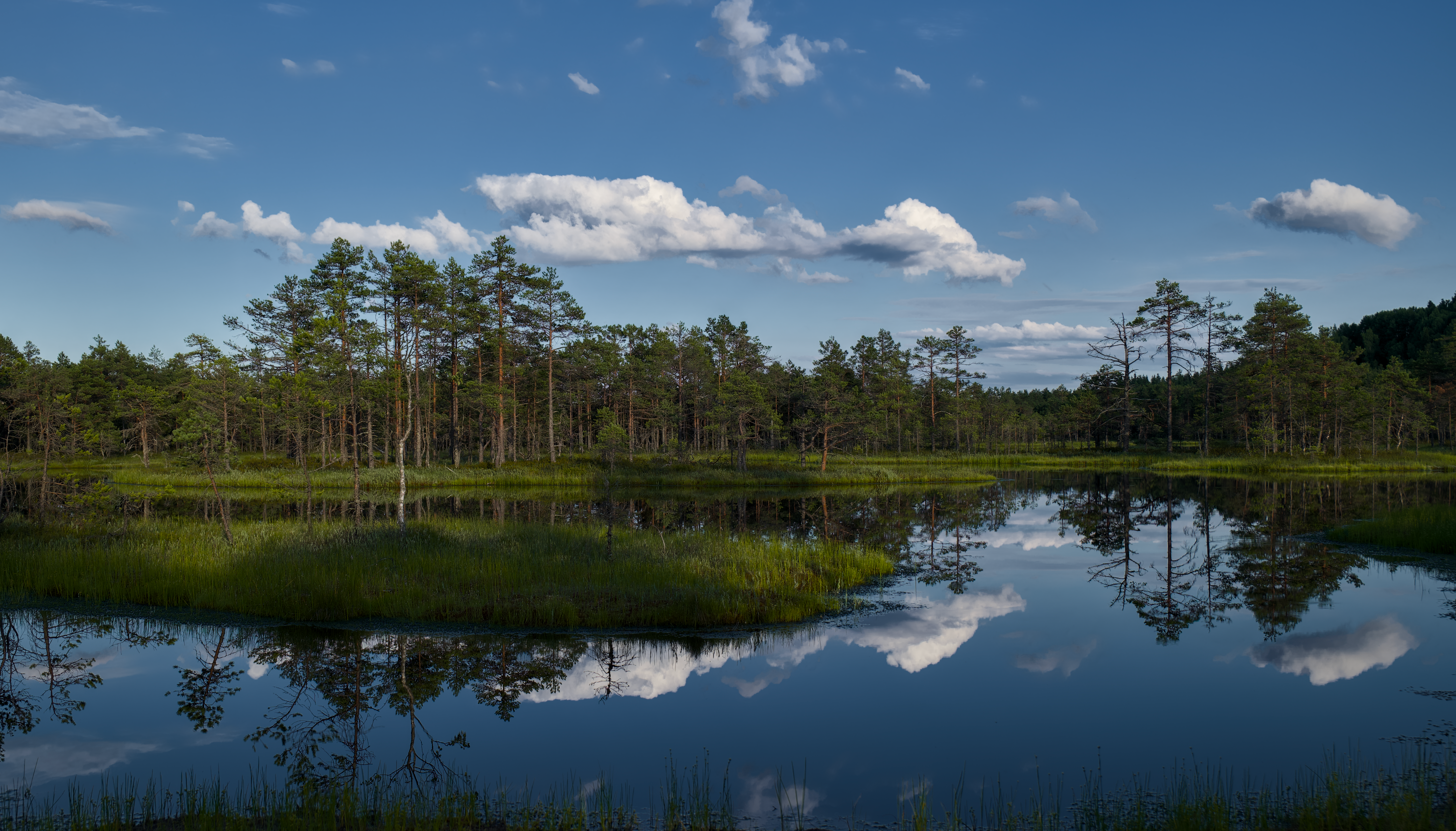 Duckboards crossing an open raised bog with dark pools and stunted pines