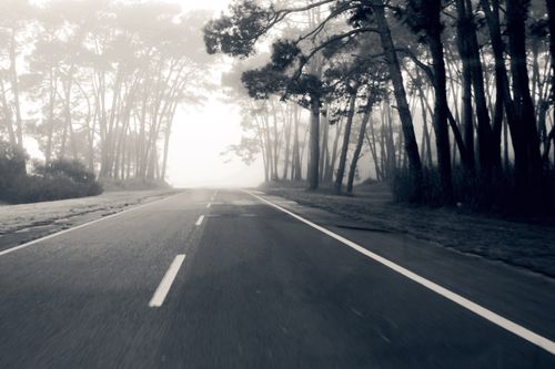 Free A serene and misty road through a forest in black and white, capturing tranquility. Stock Photo
