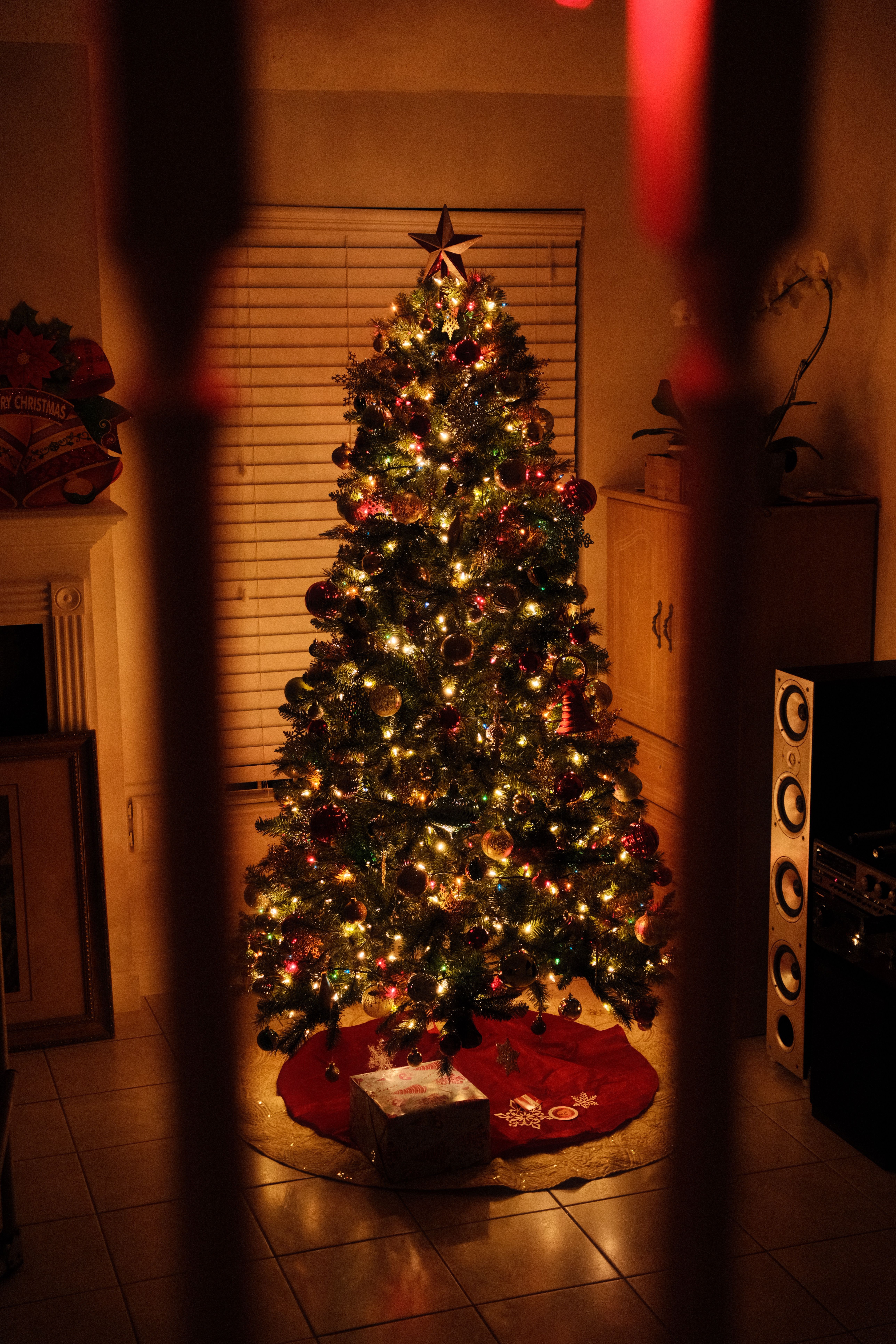 Cozy Christmas Tree Decorated with Lights and Gifts · Free Stock Photo