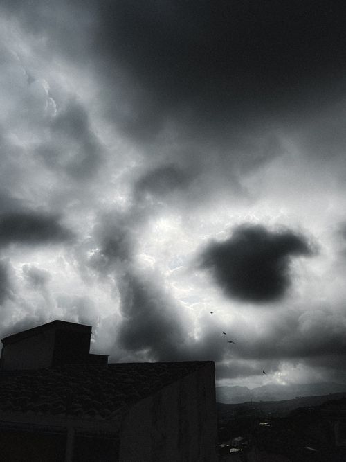 Free stock photo of birds, cloudy, dark clouds Stock Photo