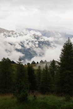 Image by Elia Zanrosso