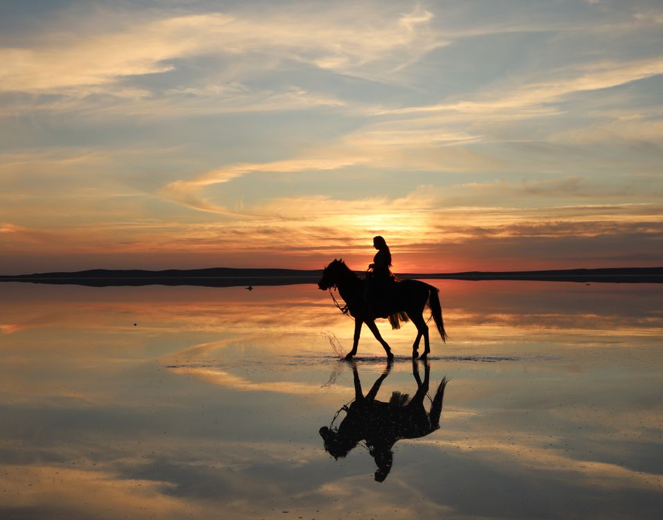 Silhouette of Horse and Rider at Sunset in Türkiye · Free Stock Photo