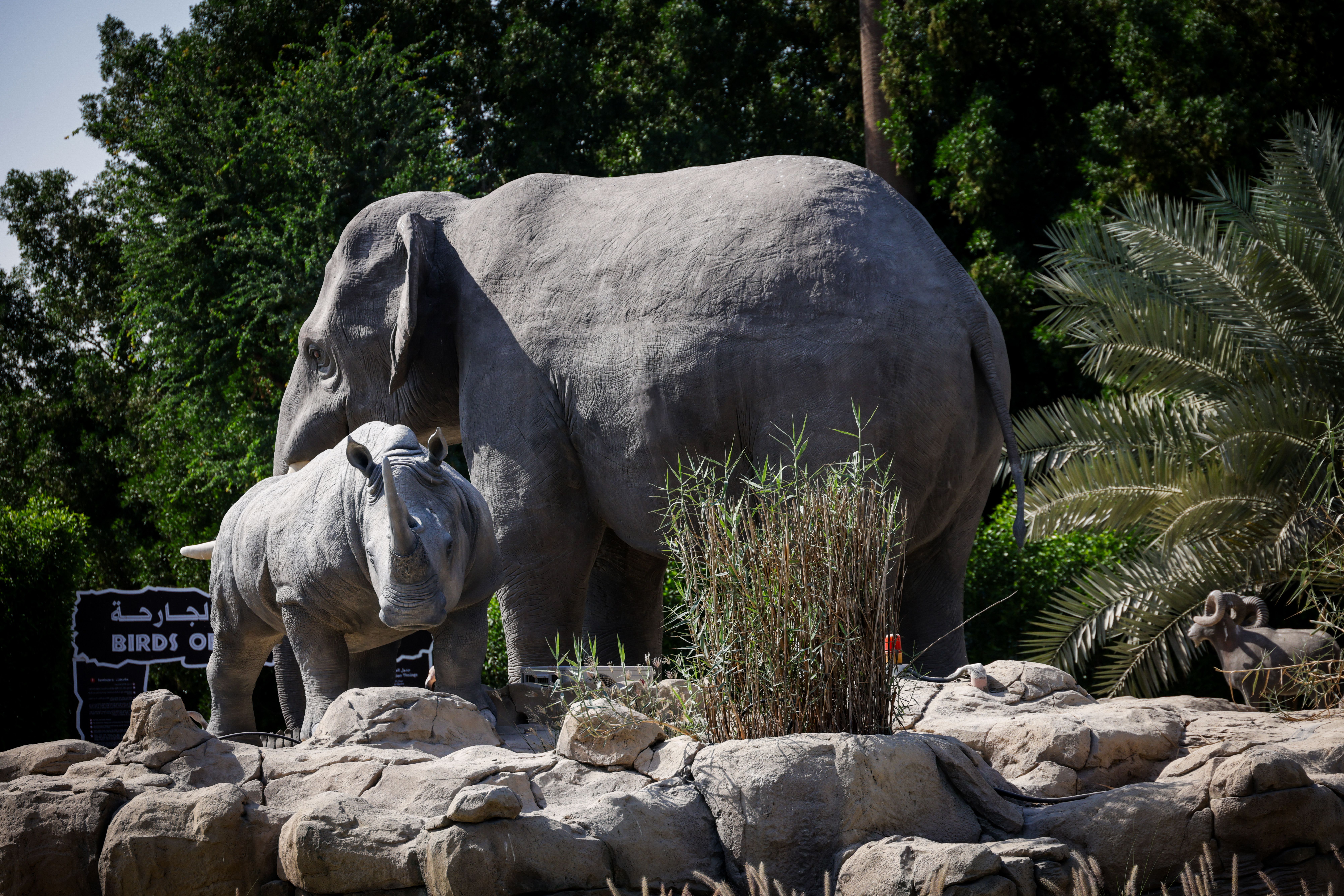 Elephant and rhino stone statues in a lush, outdoor environment.