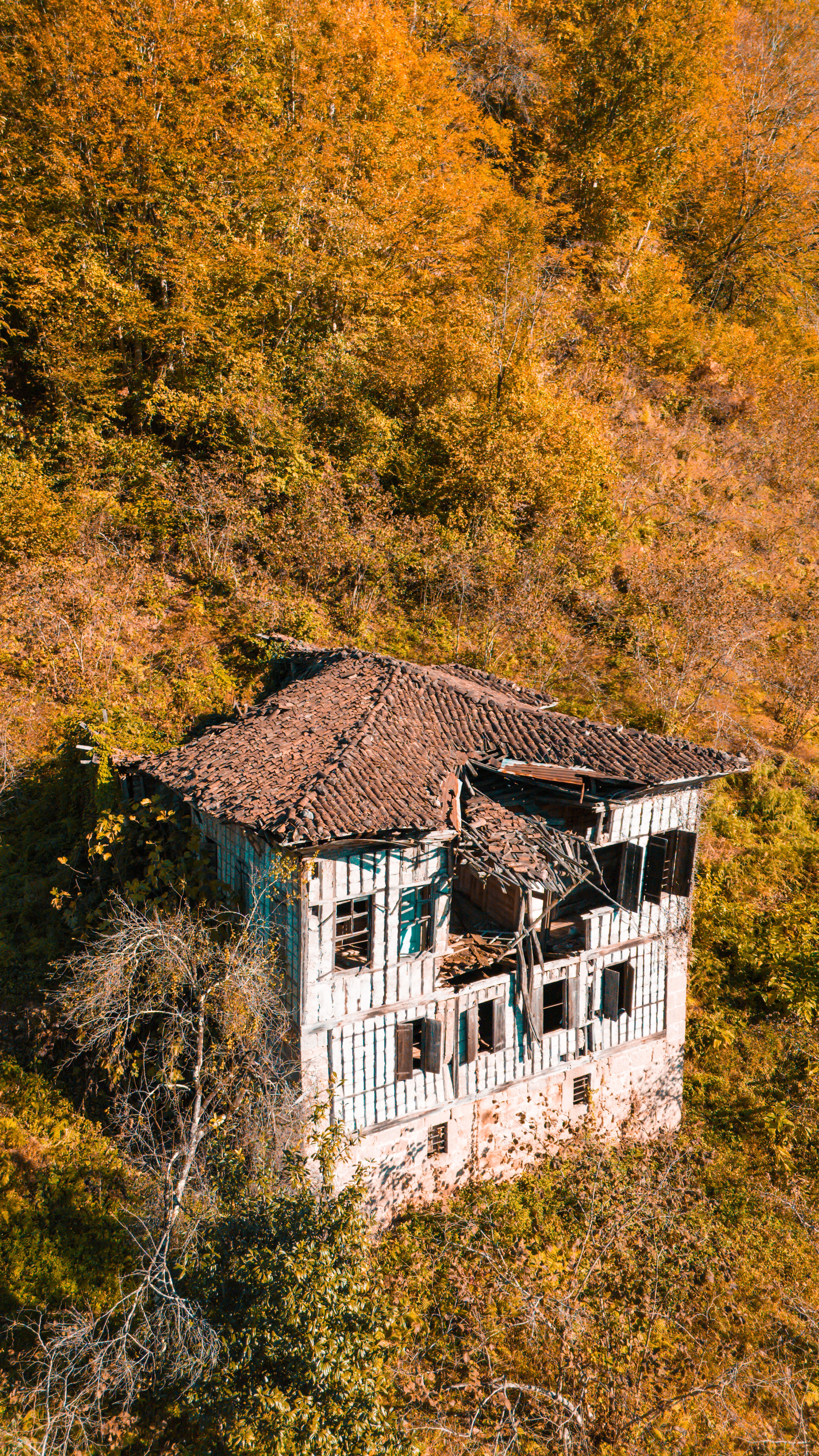Aerial View of Abandoned House in Autumn · Free Stock Photo