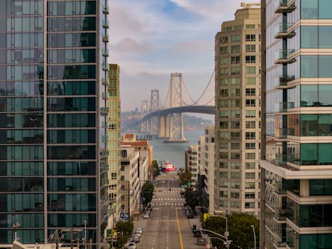 Photo by Stephen Leonardi