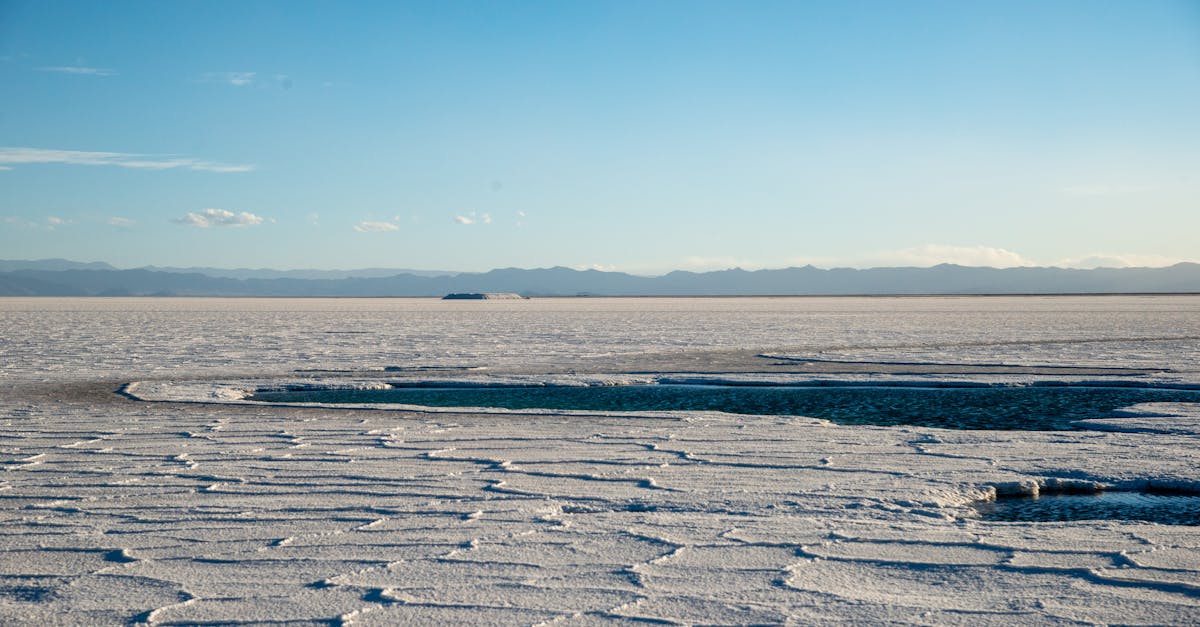 賴清德讚卓內閣:總預算與國防特別條例卡關時程詳解